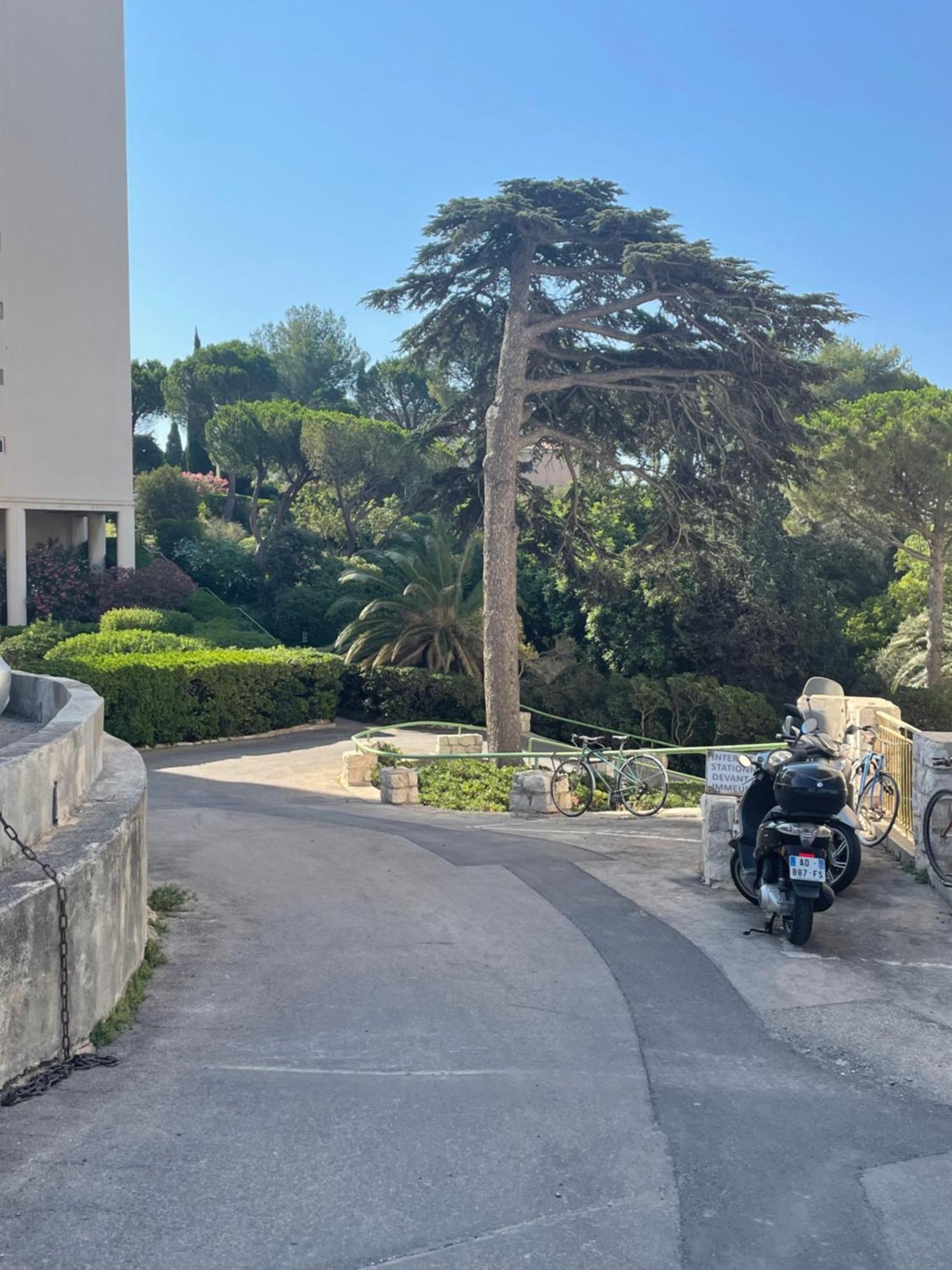 Vu Sur Mer Corniche Leilighet Marseille Eksteriør bilde